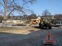 2012-02-06, Kastanie (1)